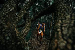 BIB: 
                            <button type="button" onclick="openModal(25691971)" class="btn btn-primary btn-sm float-right btn-popup" data-toggle="modal" data-target=".modal-high-quality">
                        <i class="fas fa-shopping-cart"></i> Add to Cart
                    </button>
                                            <button type="button" onclick="isThisMe(25691971, true)" class="btn btn-success btn-sm float-right btn-popup btn-isme hidden" data-toggle="tooltip" data-placement="bottom" title="นี่คือรูปของคุณใช่ไหม คลิกที่นี่เพื่อเอาเข้าอัลบั้ม">
                        <i class="fas fa-plus"></i> Add to album
                    </button>
                    <button type="button" onclick="isThisMe(25691971, false)" class="btn btn-warning btn-sm float-right btn-popup btn-isnotme hidden">
                        <i class="fas fa-ban"></i> Remove from album
                    </button>